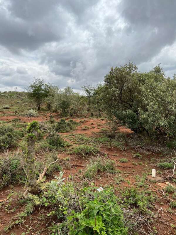 Invest In 1/8 Acre Hill View Garden