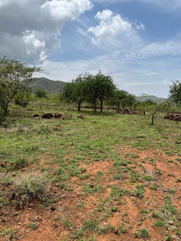 Invest In 1/8 Acre Giraffe View Gardens - Image 4