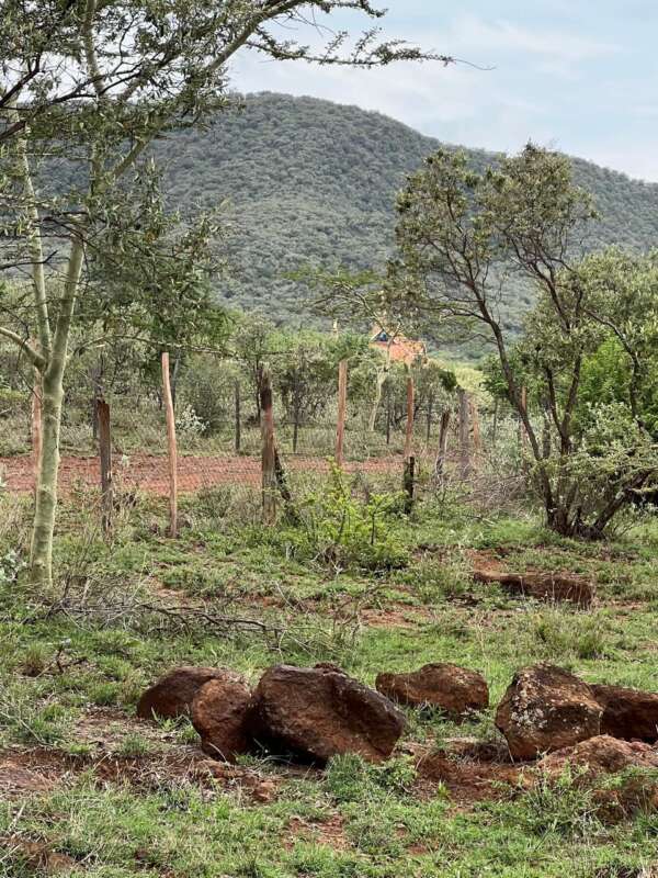 Invest In 1/8 Acre Giraffe View Gardens