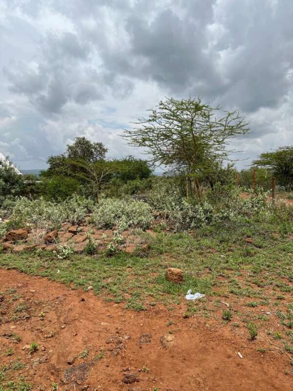 Invest In 1/8 Acre Giraffe View Gardens - Image 5