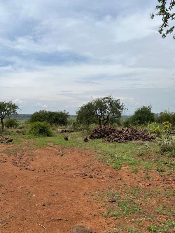 Invest In 1/8 Acre Giraffe View Gardens - Image 3
