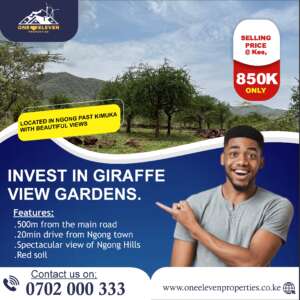 Invest In 1/8 Acre Giraffe View Gardens