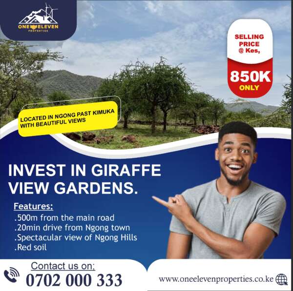 Invest In 1/8 Acre Giraffe View Gardens