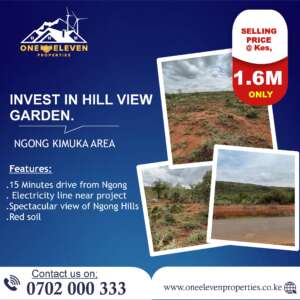 Invest In 1/8 Acre Hill View Garden